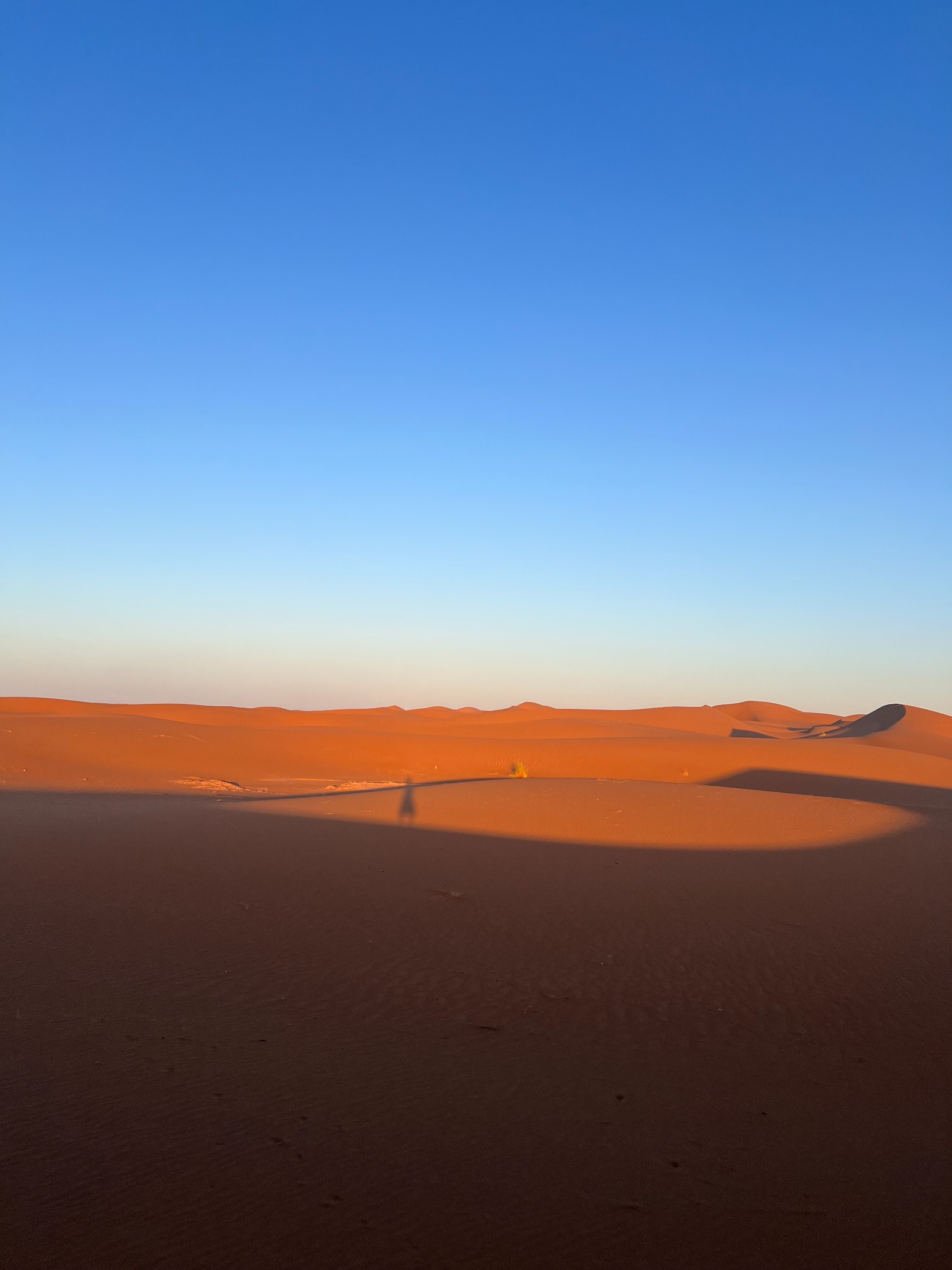 Endless dunes in warm evening light